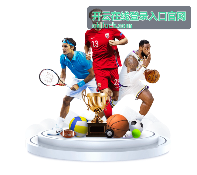 开云在线登录入口官网登录入口通道示意图