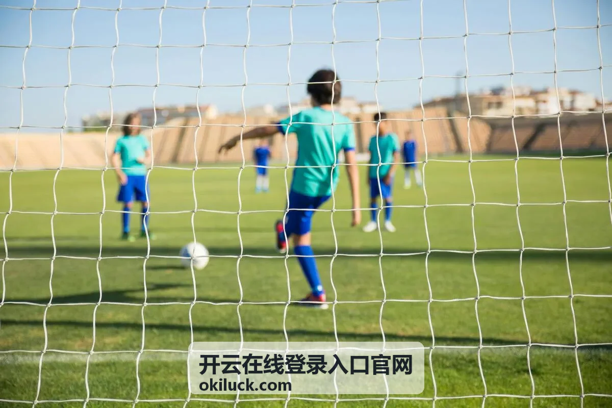 开云在线登录入口官网账号安全设置配图