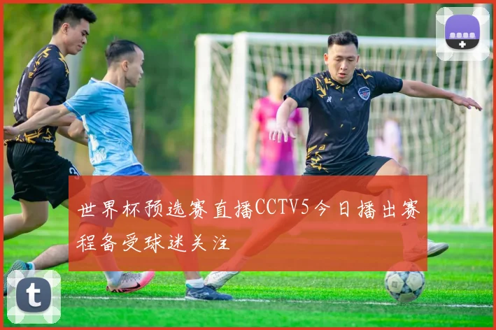 世界杯预选赛直播CCTV5今日播出赛程备受球迷关注
