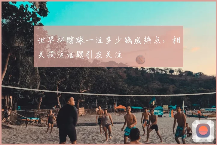 世界杯赌球一注多少钱成热点，相关投注话题引发关注