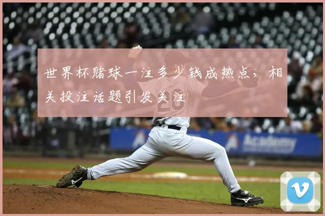 世界杯赌球一注多少钱成热点，相关投注话题引发关注