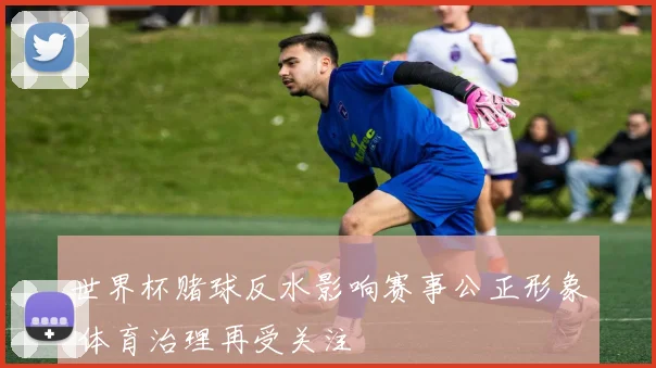 世界杯赌球反水影响赛事公正形象 体育治理再受关注